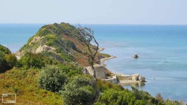 Mediterranean Sea Apartment City Center ドゥラス エクステリア 写真